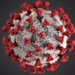 Coronavirus update from Wishing Well Vets in Wishaw
